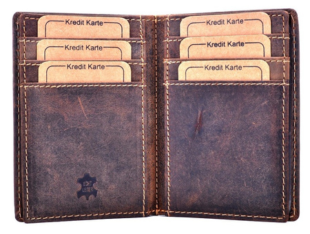 PIONOWY WIZYTOWNIK ETUI NA WIZYTÓWKI HAROLD'S VINTAGE / G1-49