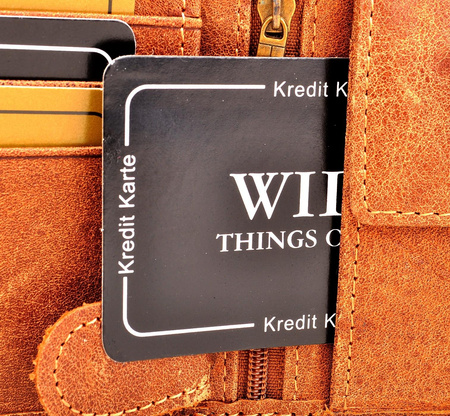 JASNY BRĄZ POZIOMY SKÓRZANY PORTFEL MĘSKI Z ZAPINKĄ WILD THINGS ONLY !!! / G4-216