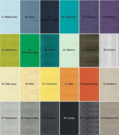 RENOSKÓR FARBA DO SKÓR LICOWYCH I KRYTYCH 30 ml - 60 KOLORÓW / G10-01